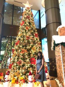 48374308_266223170915118_3136229469371498496_n